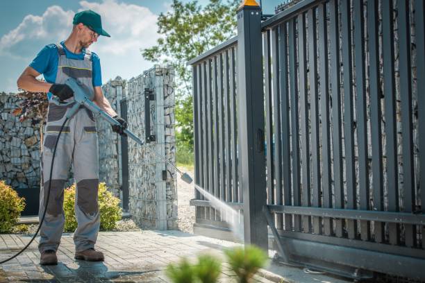Best Driveway Pressure Washing  in Holualoa, HI